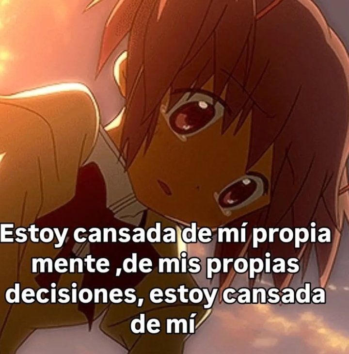Una_SimpleReimu's tweet photo. https://t.co/4WmutDdldJ