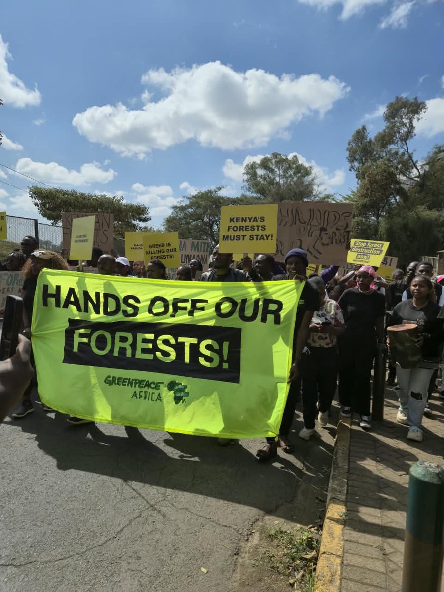KeruboOuko's tweet photo. Short-term profits for a few, climate suffering for the rest of us. We deserve better protection for our ecosystems.
https://t.co/lx0NOZ6ZAM
#HandsOffOurForests https://t.co/UhDuvBlIFo