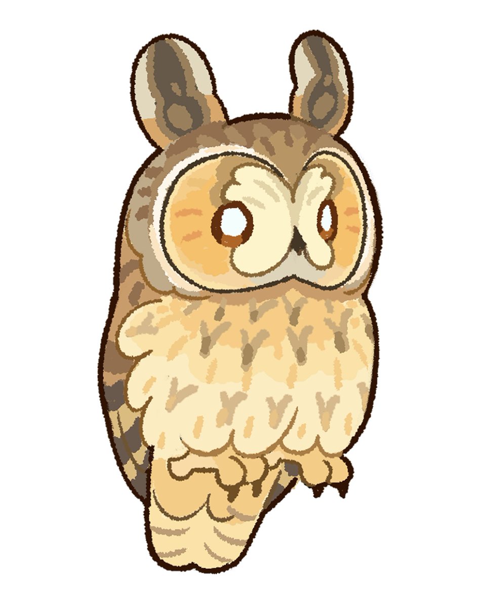 unknowncyc's tweet photo. 🦉 https://t.co/IgzGXevr4M