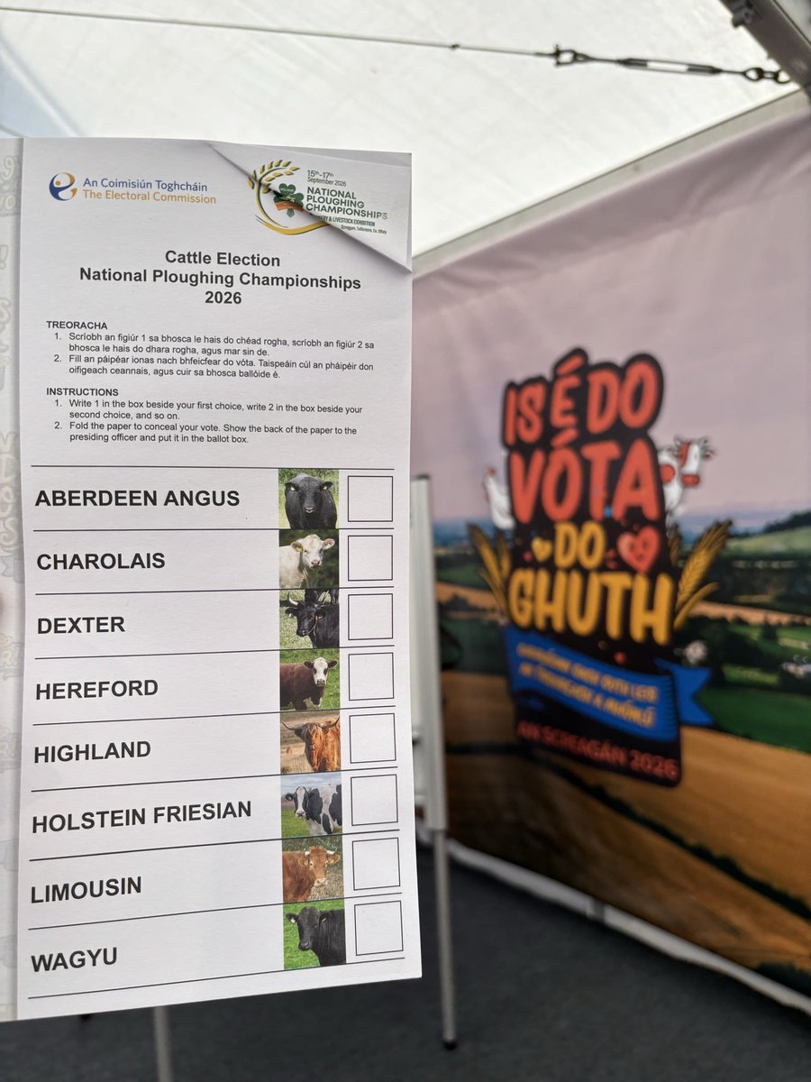 ElecCommIRL's tweet photo. At the National #Ploughing Championships @NPAIE  we asked people to vote in the #GreatBovineBallot to choose Ireland's favourite breed of cow. 

Our goal was to show people how to fill in their PR-STV ballots correctly.

Today we're counting those votes - results as we progress. https://t.co/FSJryE27rZ