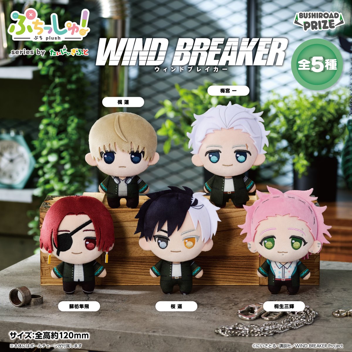WINDBREAKER_FAN's tweet photo. 2027年3月登場予定

ぷちっしゅ！TVアニメ「WIND BREAKER」

おめめぱっちりの"ぷち"サイズのぬいぐるみ【ぷちっしゅ！】になって登場！

https://t.co/hojJrkCgUP

#ウィンブレ https://t.co/UbbiWQlTUh