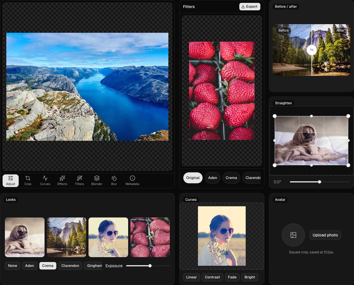 rbbydotdev's tweet photo. introducing photocn 
free &amp; open source minimal composable shadcn photo editor https://t.co/CCW6VNfUjn