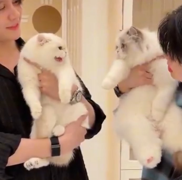 sthibtw_'s tweet photo. ปะป๊า!!! แล้วภาพลักษณ์รินะล่ะคะ คนจะหาว่าหนูขี้วีนไหมคะ แต่หนูก็ขี้วีนจริงๆค่ะ555555552225555555555555 https://t.co/clGVSAsktB