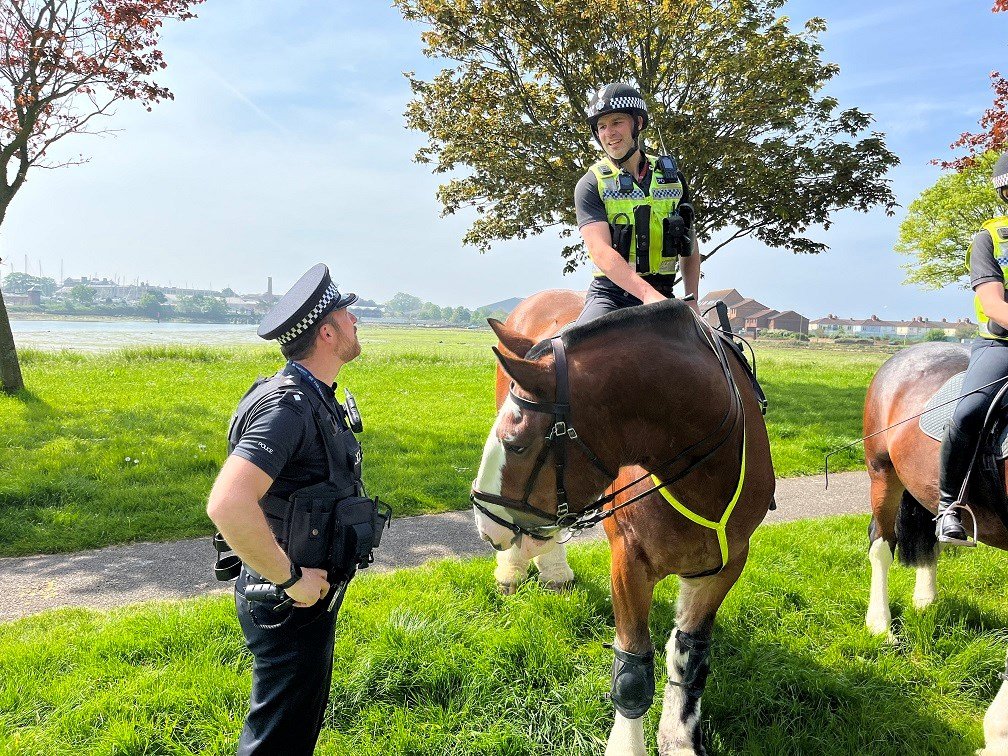 BotFinderUK's tweet photo. Have just read the decorated police horse, Champion, who stood on nails left in the road by Neo-nazis in Gosport on Sunday , had to be put down yesterday.
Sad times.
Is there no low these gammon filth won't sink to? https://t.co/8uAHNrrVVy