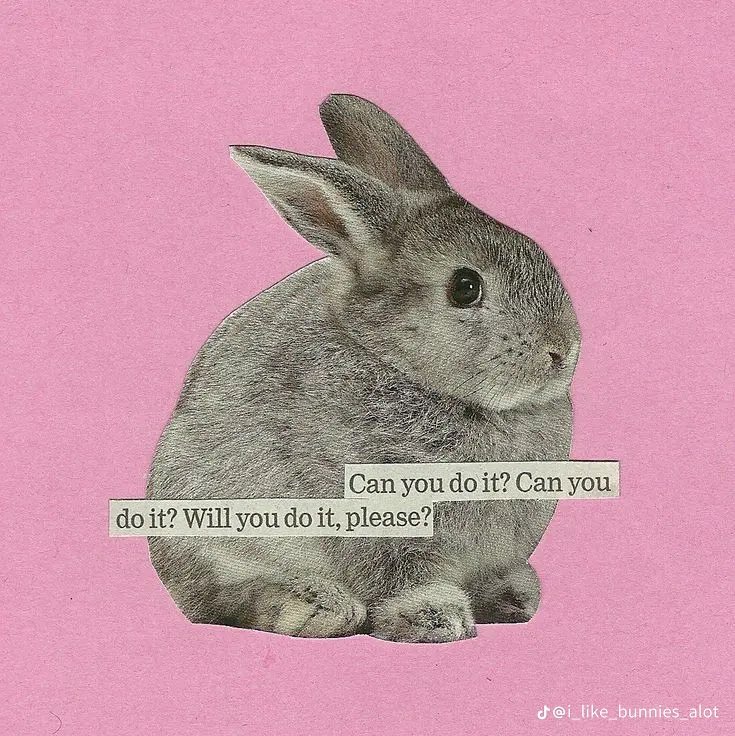 daffybun's tweet photo. @ScarlettRed___ https://t.co/sslqt5ujJ6