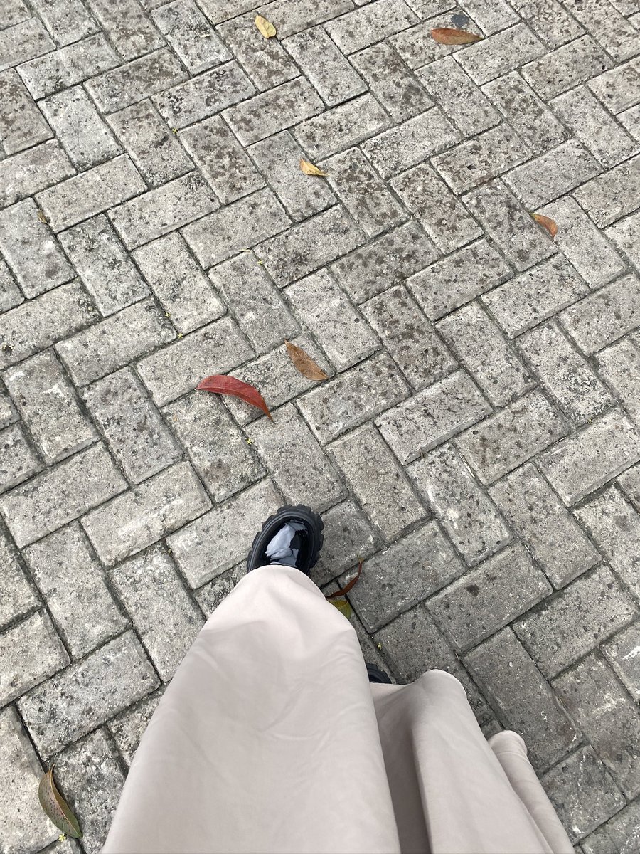zuppazoel's tweet photo. sweater weather🍂 https://t.co/zSHH3nTjqQ