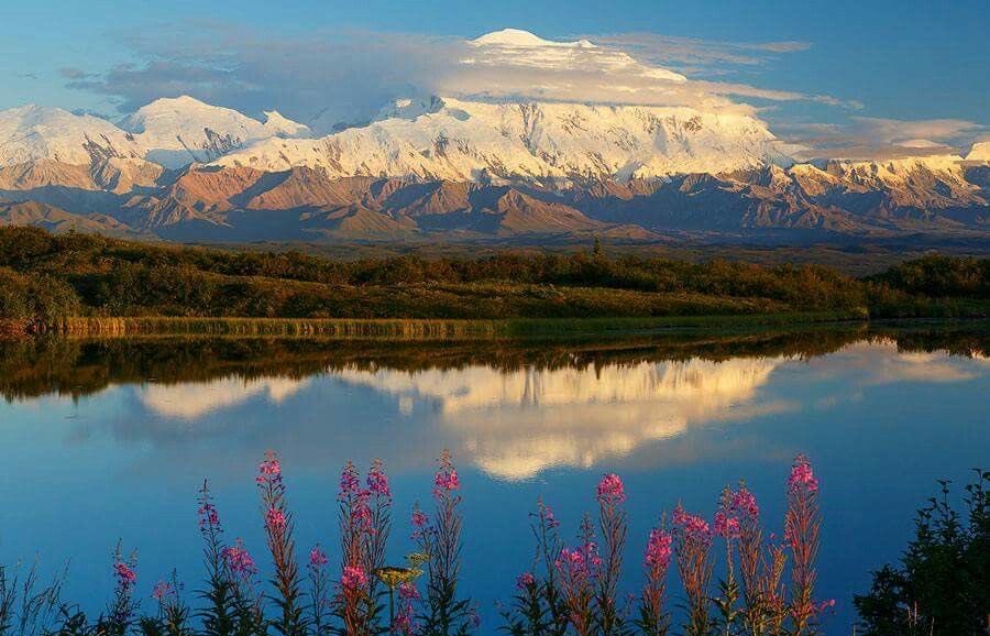 Craftsmangod's tweet photo. when earth meets its reflection.. https://t.co/JB4lHp4uU9