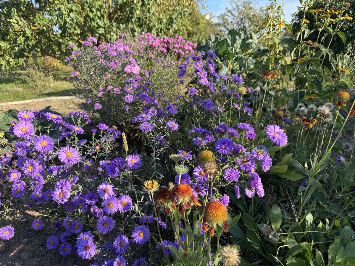 Berlintakes's tweet photo. Guten Morgen ☀️ https://t.co/kBY1DKvSh1