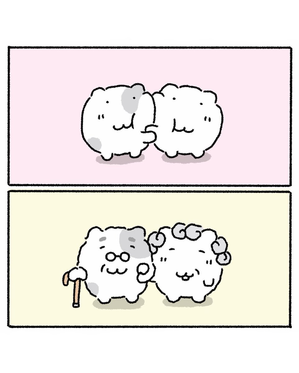 nyanmon_jp's tweet photo. 愛してる https://t.co/Ve6SdW2j5W