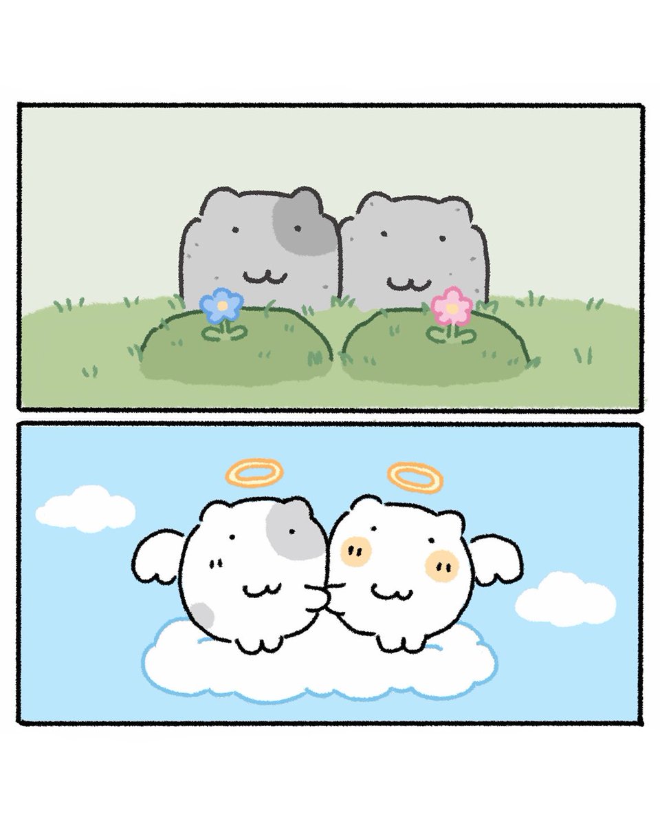 nyanmon_jp's tweet photo. 愛してる https://t.co/Ve6SdW2j5W