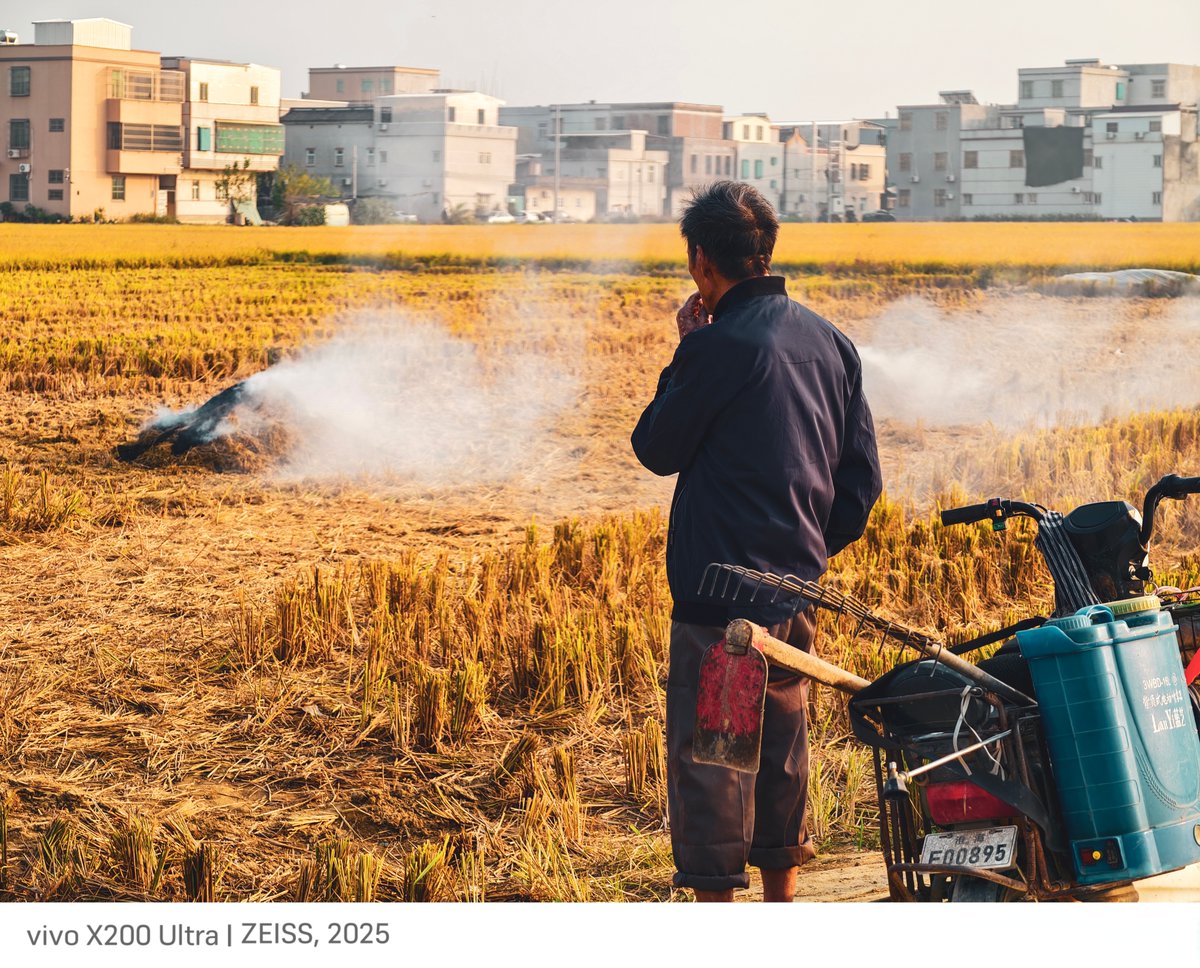 BrodyYoungowss's tweet photo. [I'm out in the fields, laying rice straws, looking for Yin Yin!]， https://t.co/kAVRPNQoZN