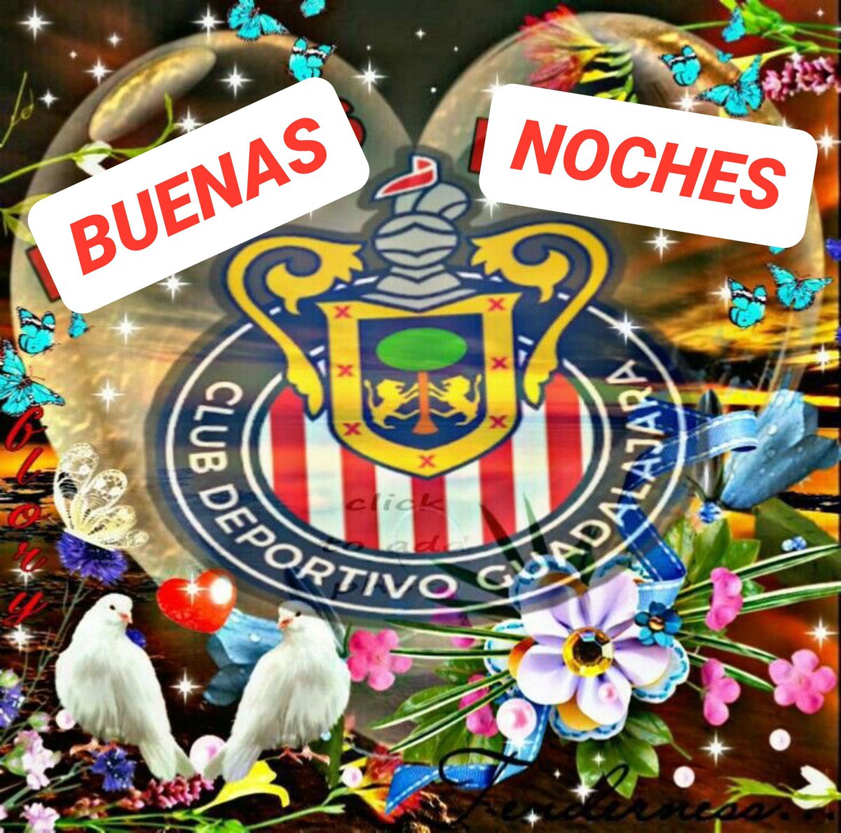 hormiikawaa's tweet photo. gn amores 💗💗💗 díganme gn o les jalo las patas https://t.co/szETxkxplv
