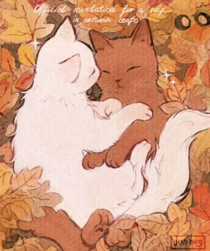 MidnghtBlackCaT's tweet photo. ╭━━━ ୨୧ ⋆｡°✩°｡⋆ ୨୧ ━━━╮
　🐈‍⬛ྀི♡ BLACK CAT TAROT ♡ྀི🐈‍⬛
　　　꒰ა 🌸 ໒꒱
　una cartita para tu corazón ♡
╰━━━ ୨୧ ⋆｡°✩°｡⋆ ୨୧ ━━━╯

　　　૮₍ ˶ᵔ ᵕ ᔵ ₎ა ♡
　　pssst… ven, tú. 🎀

¿Hay algo que mueres por saber sobre esa persona? 👀💌

¿Quieres saber qué siente, qué intención tiene,
qué está pasando entre ustedes…
o simplemente te ganó la curiosidad
y quieres saber qué dicen las cartitas? (˶˃ ᵕ ˂˶)♡ 🔮

𓂃 ࣪˖ ִֶָ🌸 Pues vamos a preguntarle al tarot. 🌸

╭────── ⋆｡°✩°｡⋆ ──────╮
　🎀 PREGUNTA GRATIS 🎀
╰────── ⋆｡°✩°｡⋆ ──────╯

♡ Like
↻ RT
🐾 Tu nombre o iniciales
🎀 Iniciales de esa persona
💌 Tu pregunta

Y listo. No necesitas saber de tarot
ni escribir la pregunta perfecta. ♡

Puedes preguntar, por ejemplo:

🌸 M. + J. — ¿qué siente por mí?
🎀 A. + L. — ¿qué intención tiene conmigo?
🌷 C. + R. — ¿qué necesito saber de esta conexión?

𓂃 ࣪˖ ִֶָ🌷 Yo me encargo de las cartas. 🌷

Sacaré una carta para tu pregunta
y te compartiré su mensaje. 🔮💌

Puedes recibirlo aquí mismo
o pedirme que te lo mande por DM. 🐈‍⬛🎀

╭───── ୨୧ ⋆｡°✩°｡⋆ ୨୧ ─────╮

૮₍ ˶ᵔ ᵕ ᔵ ₎ა 💭
Y si después quedas como…

“espera… ¿PERO QUÉ SIGNIFICA ESO?” 😭💗

…jeje. 🎀

Si quieres profundizar un poquito más,
puedes pedir una lectura más desarrollada por $30 MXN. 🃏

🌸 respuesta más extensa
🎀 más contexto
🌙 una mirada más completa

Primero pregunta. Después decides. ♡

╭───────୨୧────��──╮
　🐈‍⬛ྀི BLACK CAT TAROT ྀི🐈‍⬛
　　🌸 ₊˚⊹♡⊹˚₊ 🌸
╰───────୨୧───────╯