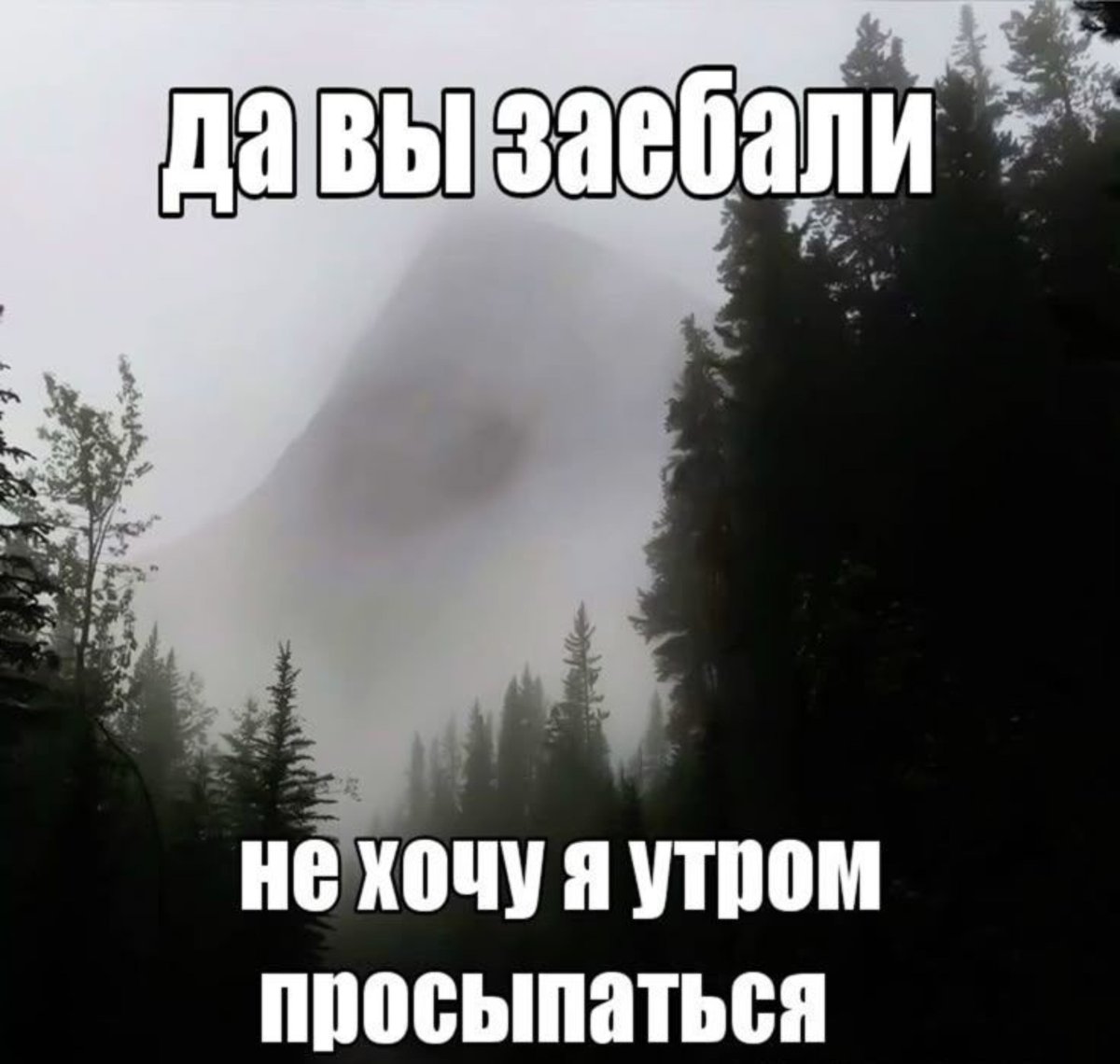 Sammler_244's tweet photo. Доброго утречка всем)) Как спалось? https://t.co/egGSd8fcsG