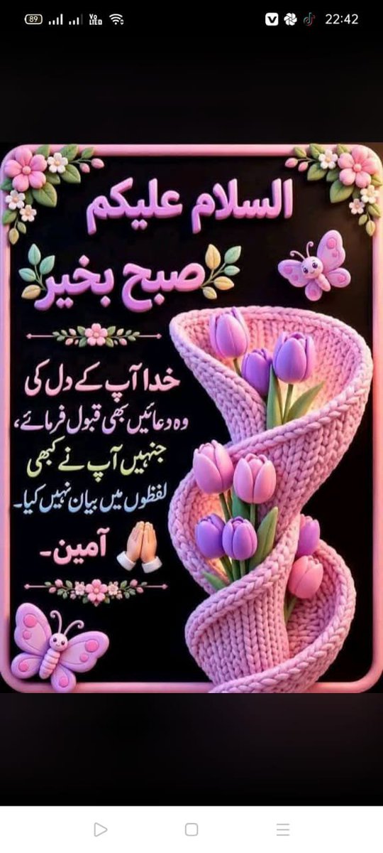 sherjafar's tweet photo. Good morning https://t.co/u9s93QMGLm