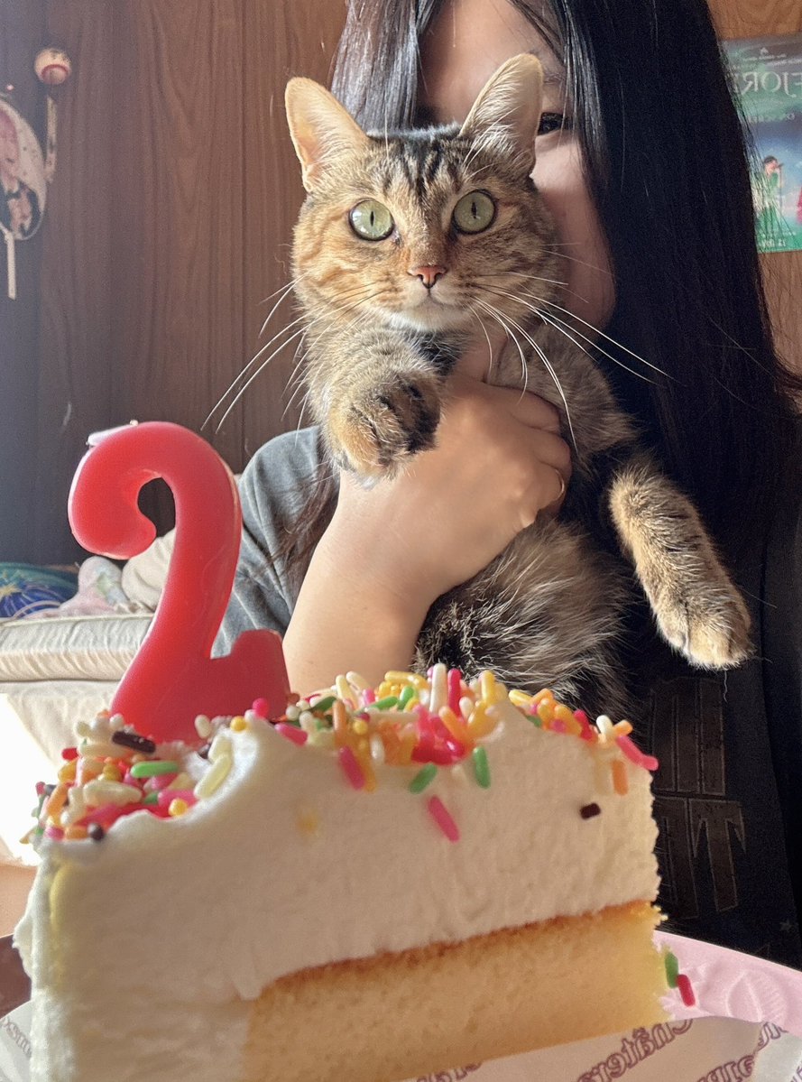 whitetamatama's tweet photo. 野良猫から家猫になって
2歳になってやったぞ。
人間のお写真にも
付き合ってあげる優しさ。

#猫お誕生日 https://t.co/p9acK9SF7C