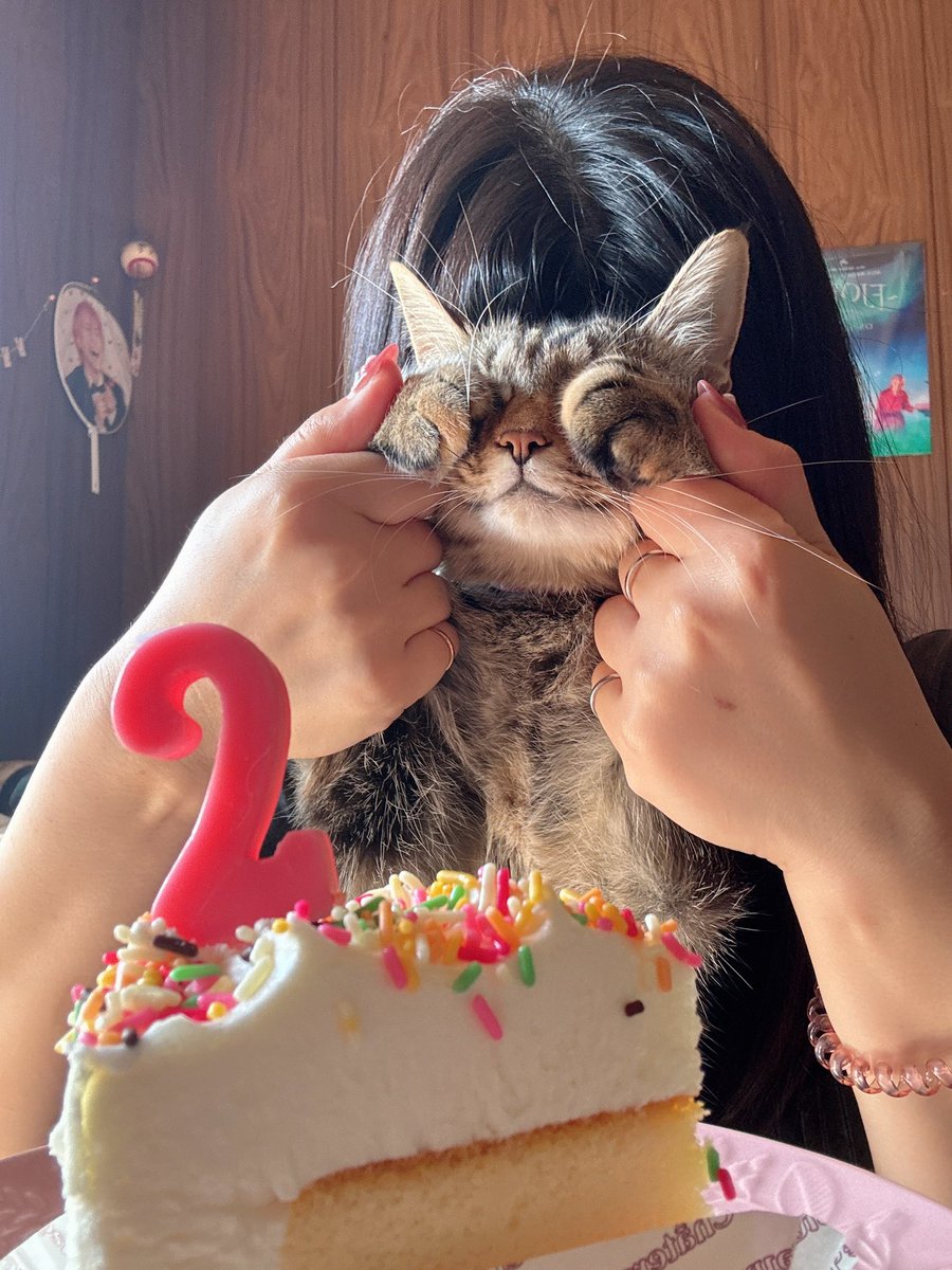 whitetamatama's tweet photo. 野良猫から家猫になって
2歳になってやったぞ。
人間のお写真にも
付き合ってあげる優しさ。

#猫お誕生日 https://t.co/p9acK9SF7C