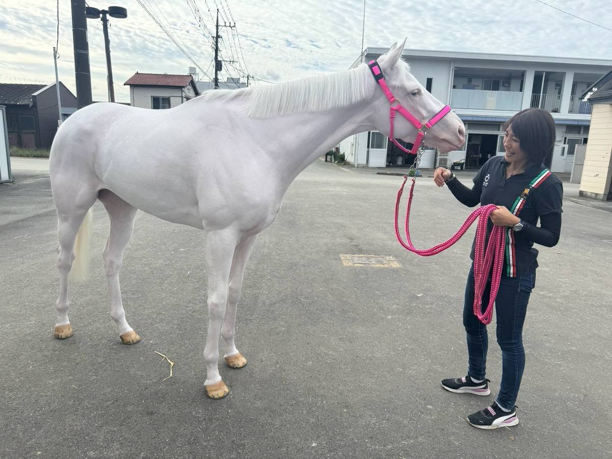 kanji19751006's tweet photo. 10月12日からの川崎競馬のメンバーが発表されましたが、転入馬・転厩馬が多数。

白毛の転入馬・スノーエルヴァ(佐藤博紀厩舎)は3日目(10/14)の6レースに出走予定。『応援よろしくお願いします！』と佐藤里美厩務員。 https://t.co/47ef5ByJwe