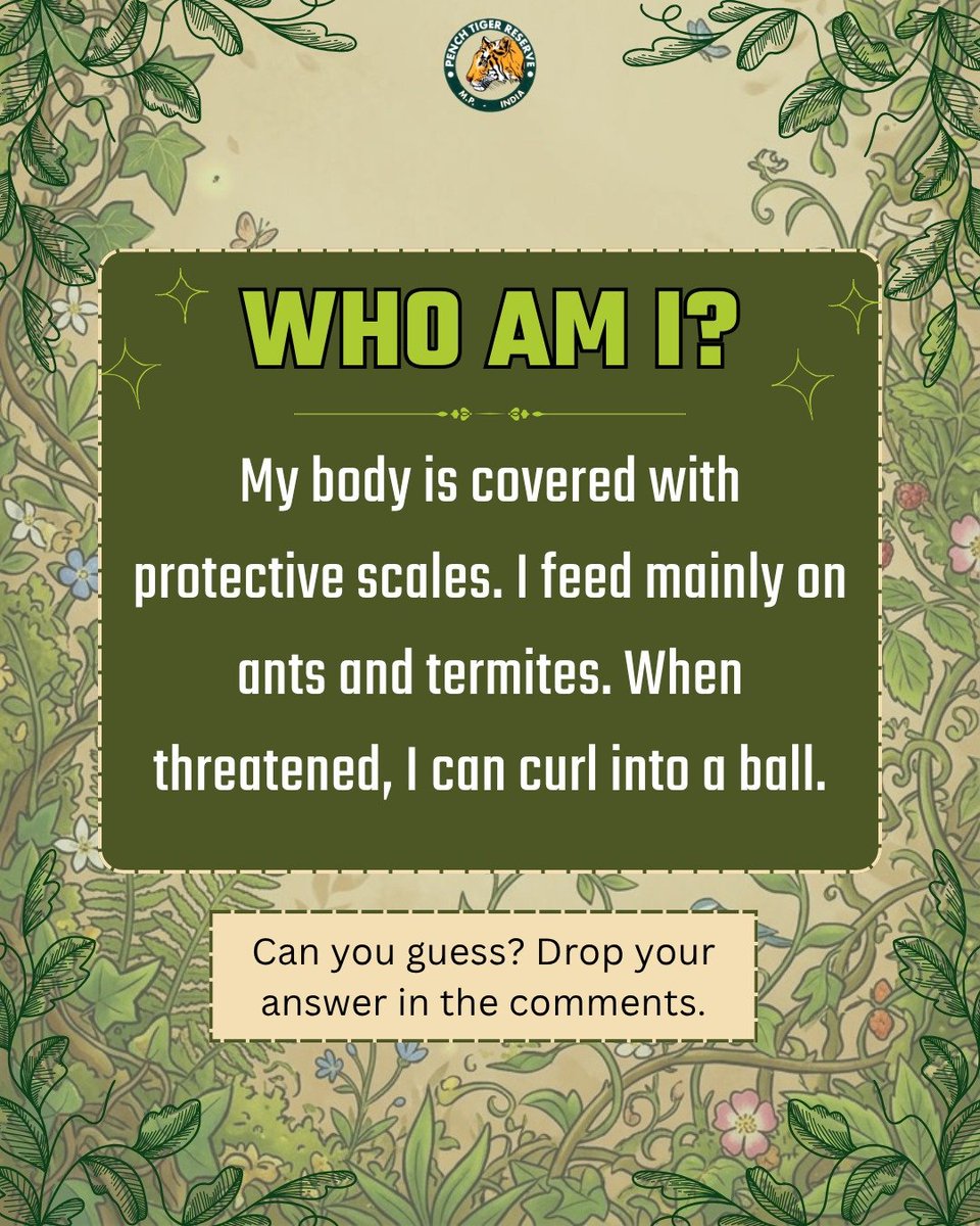 PenchMP's tweet photo. A little wildlife mystery for you.
Can you identify today’s mystery species from the clues in the post?
Drop your guess in the comments.
We’ll reveal the answer after 24 hours.
Let’s see who gets it right first.
#whoami #mystry #identify #wildlifeweek #wildlifeprotection https://t.co/q88GTtOlZQ