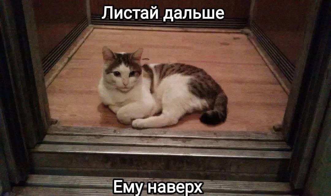 Darklenho's tweet photo. https://t.co/mzkaFDYTHF