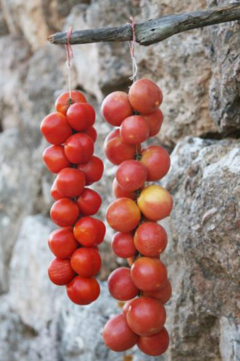 caledelspagesos's tweet photo. VERDURES I HORTALISSES DEL MES D'OCTUBRE: Albergínia, alls tendres, api, bolets, carbassa, carbassó, col, col de brusel•les, coliflor, endívia, mongeta tendra, moniato, nap, patata, pebrot, porro, tomàquet de penjar. https://t.co/exY0QdqCUx