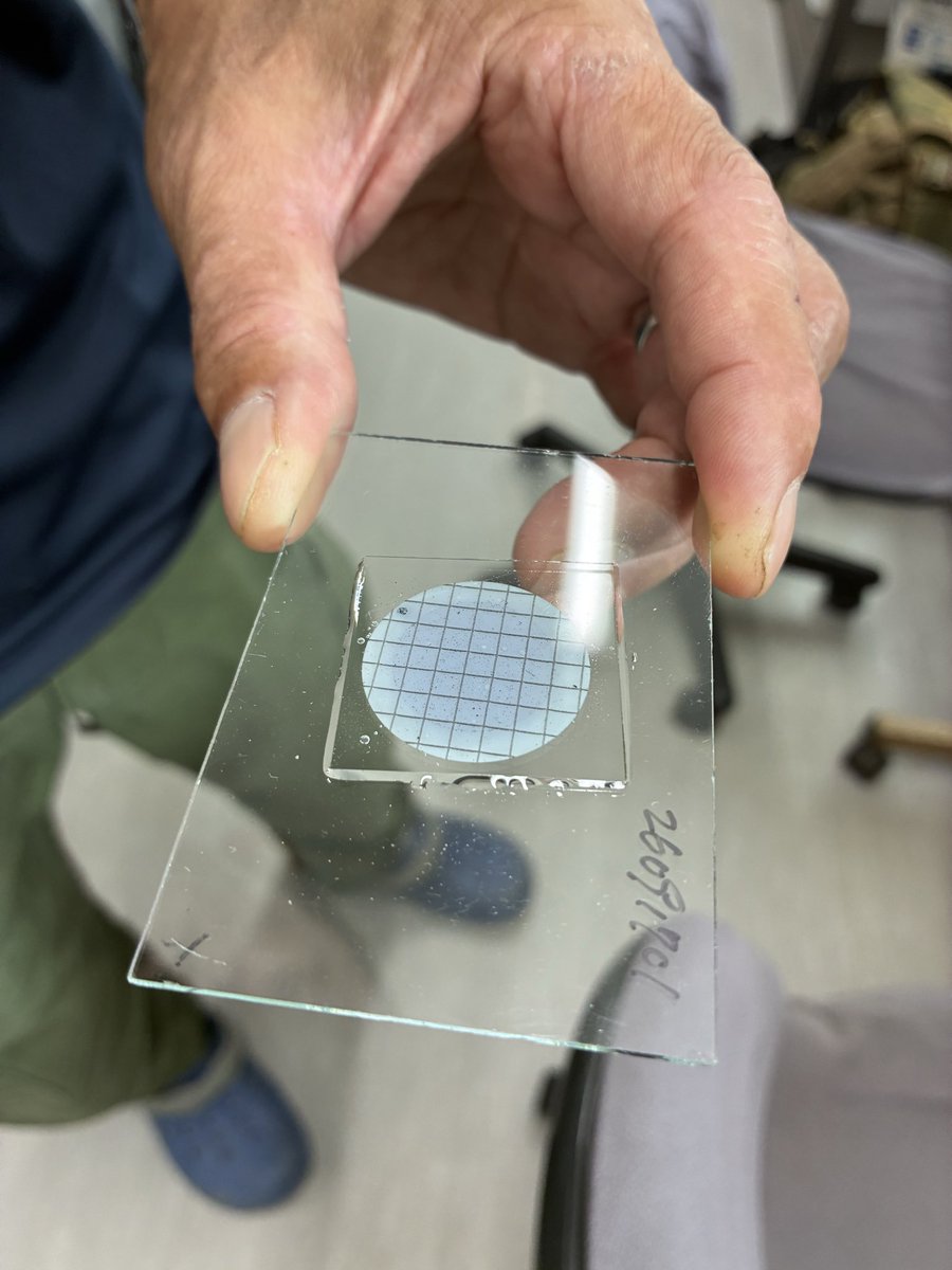 y_kobae's tweet photo. アライヘルメットの千徳さんから土の中の菌根菌の菌糸を調べる方法を教えてもらいました。

これをうちの研究室でもルーチンに回していく予定です。

千徳さん
ありがとう！ https://t.co/UUEj9uNYuY