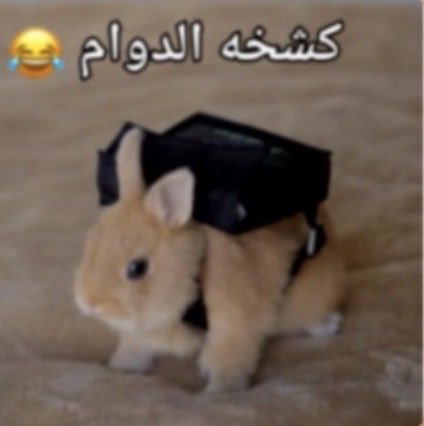 ny8las's tweet photo. اول مره اجلس بدون عبايه في شي ناقص https://t.co/oYnx3ys1NP