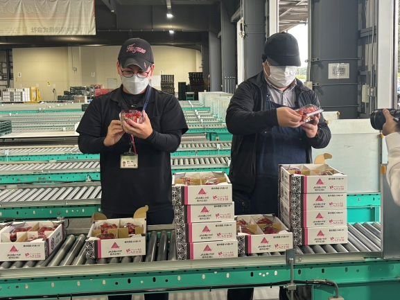 egappetomikazu's tweet photo. 【とちあいか🍓初出荷（Ｒ9年産）】
☆産地　ＪＡはが野
☆出荷状況　2 L（4パック）他6規格　合計72パック
☆初競り（ご祝儀）価格（1パック）2L　=10万円•L=3万円
☆いちご生産者数　前年比41戸増　1,524戸
☆栽培面積　同12.8ha増　413.4ha
🍓いよいよ「いちご王国」シーズン到来 https://t.co/tO0qPGMjtc