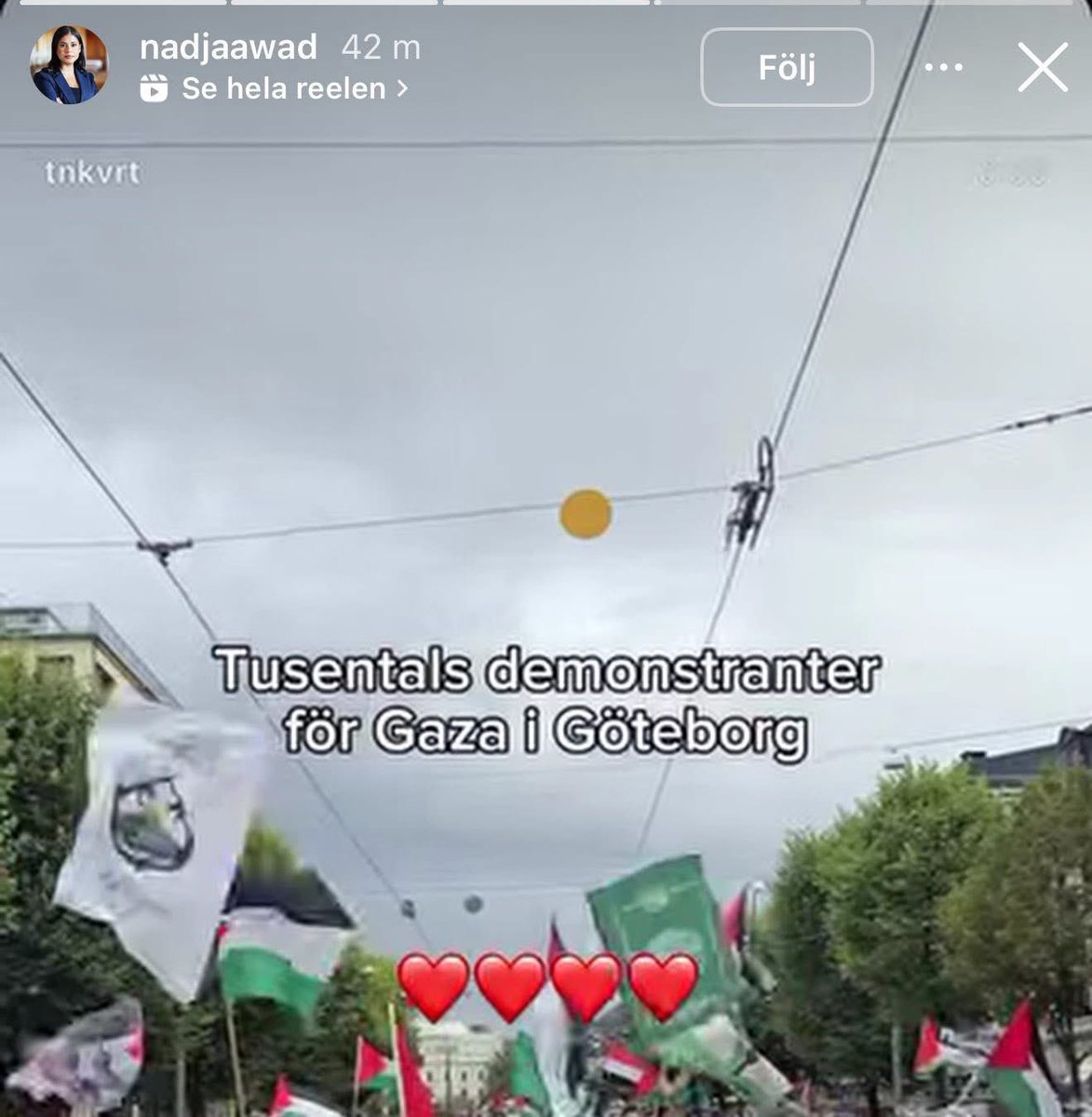 drdanielschatz's tweet photo. Här poserar Vs riksdagsledamot Nadja Awad med en karta där Israel utraderats – och postar hjärtemojis tillsammans med Hamasflaggor. Under valrörelsen deklarerade hon att V skulle ta ”varje klanröst”.

Nu har partiet belönat henne med posten som ordförande i socialförsäkringsutskottet och Vs talesperson i socialförsäkringsfrågor. I V belönas extremism.