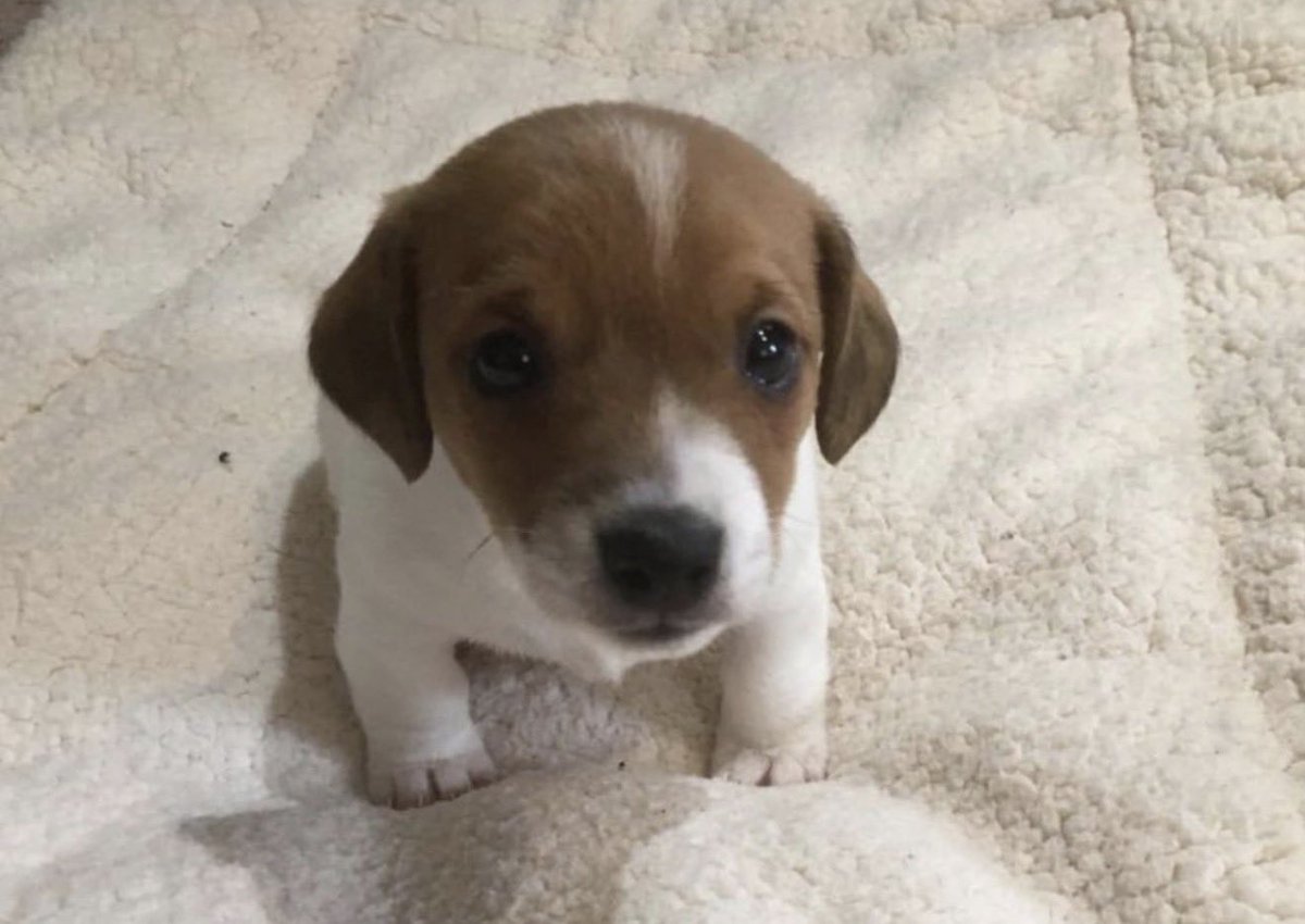 fruitpibble's tweet photo. i hope you are always happy because you deserve to be nothing less than that https://t.co/FjDY8cQB4S