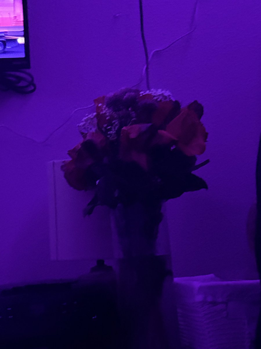 xAgeraXx's tweet photo. I’ll do anything for them to last longer. I promise to cherish this https://t.co/Sku5U2XbAW