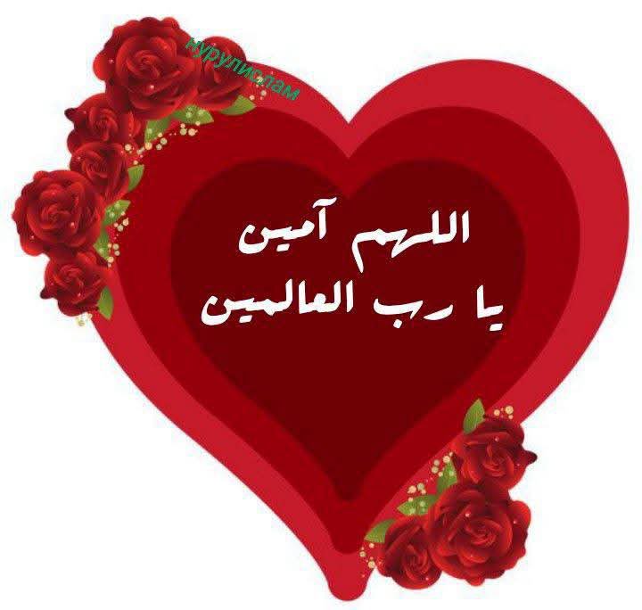 Mahmoud_Advisor's tweet photo. @imansef ربي يسعدك ويحفظك يارب https://t.co/9l1sYWyzXc