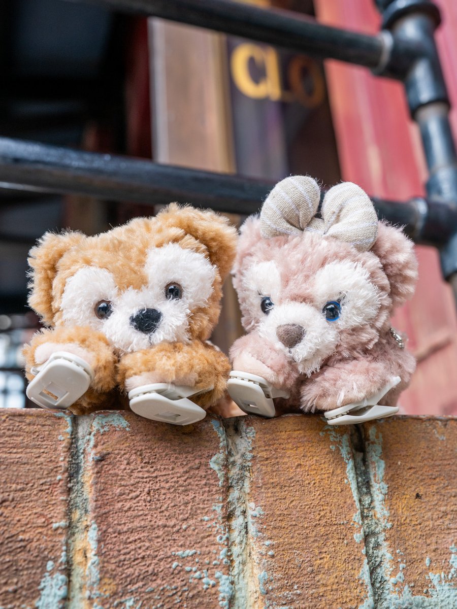 MezzoMikiD's tweet photo. くっつきぬいぐるみも！
東京ディズニーシー「ダッフィー＆フレンズ」新レギュラーグッズ新発売☆
https://t.co/KvyV2uJnww https://t.co/vn8M0kMpzP
