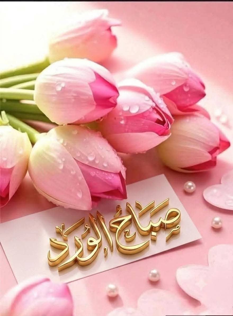 Mahmoud_Advisor's tweet photo. @Rital16675 https://t.co/qrmBodRuN1