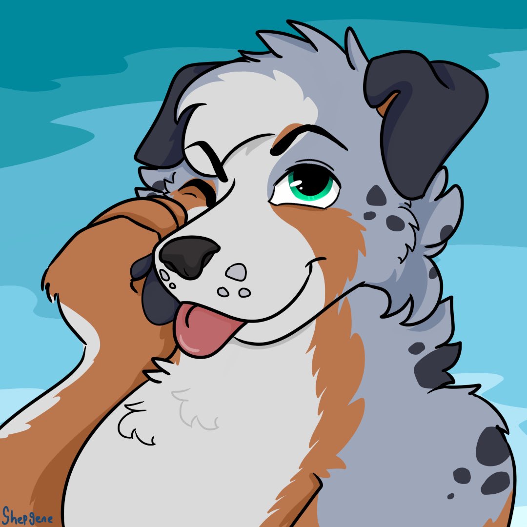 shep_gene's tweet photo. first time drawing an Aussie shep! 
Gift art for @BetaEtaDelota 🐕🩵 https://t.co/J21RCN8zxw