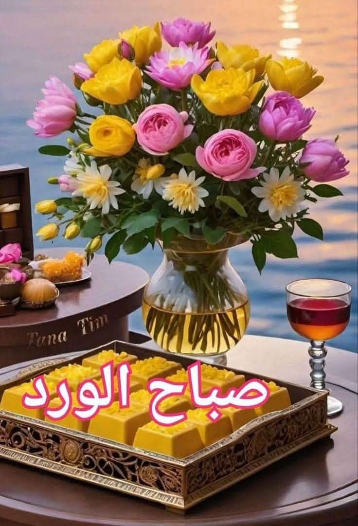Mahmoud_Advisor's tweet photo. @ElgazalyMarow https://t.co/ahwrP6ZsN6