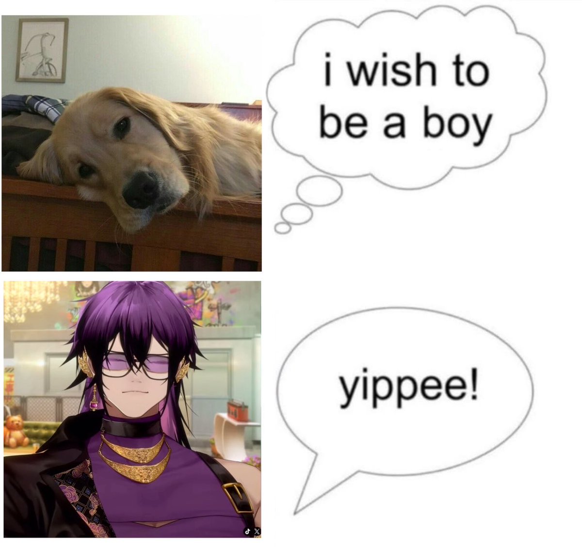 lotusabeyy's tweet photo. puppybeam https://t.co/jtTeXj86gt
