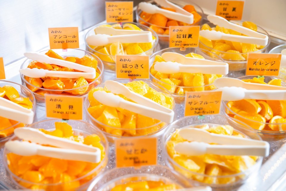 livedoornews's tweet photo. 【🍊】「人生で一番みかん食べた」 愛媛・松山市の朝食バイキングが話題
https://t.co/DqmWLBl7gb

松山市の「ホテル道後やや」では12月から3月頃に、フルーツコーナーが一面鮮やかなオレンジ色に。温州みかんをはじめ、「まりひめ」「スイートスプリング」など12品種もの柑橘が並ぶそう。 https://t.co/7fj8Yl2tUI