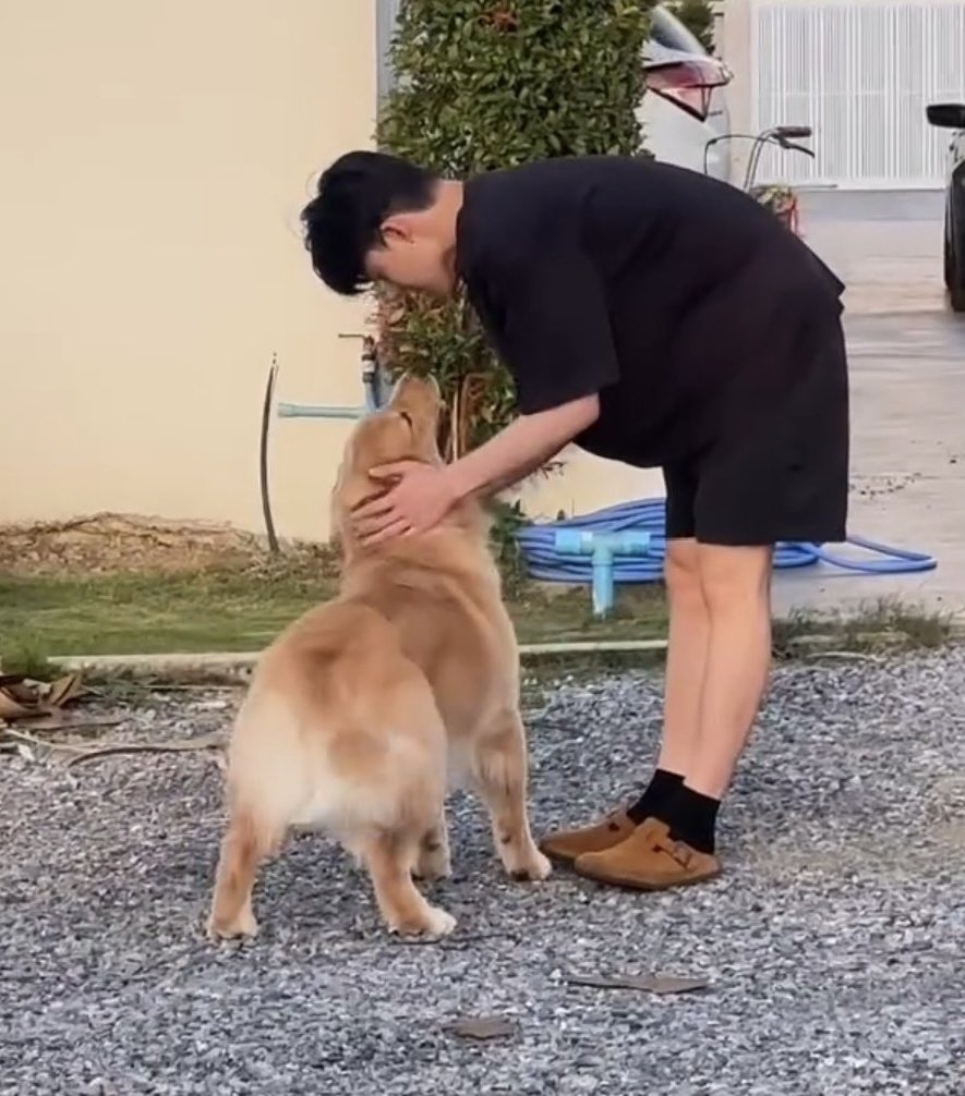 ppnarawinz's tweet photo. โห กับพี่ชายเทออ่อน โยนมากนะลูกเก้อ 🫳🏻🐶🧡

#ppnaravit @ppnaravit #parkerlert https://t.co/TURrXU79qu