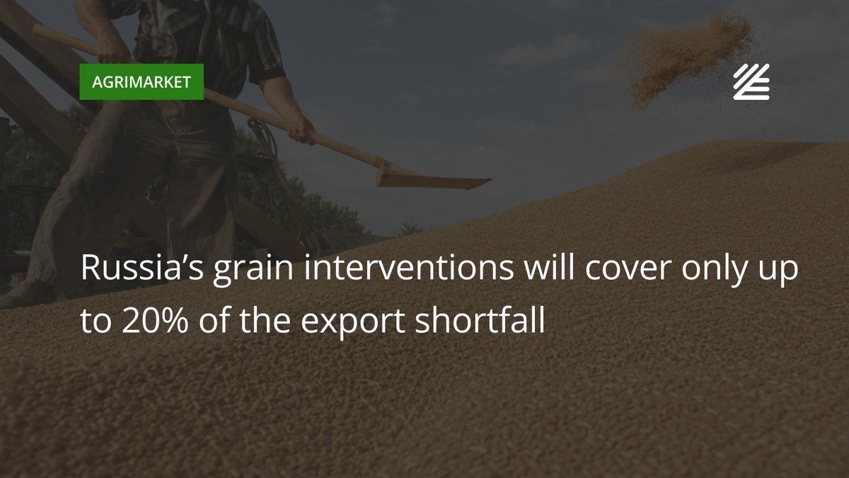 UkrAgroConsult's tweet photo. 🌾 #Russia’s #grain #interventions will cover only up to 20% of the export shortfall
Russia’s state intervention programprovides for purchases of up to 3 mln tons of grain, while ProZerno estimates the export shortfall at 14–20 mln tons.
Read more 👉 https://t.co/AyL5v34KGC https://t.co/LtlC00C0XV