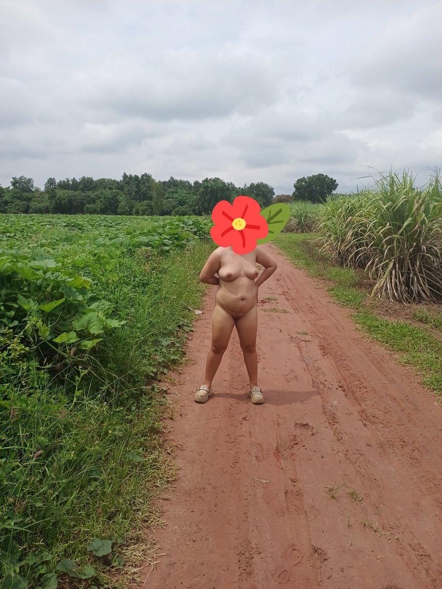 Peera14337748's tweet photo. มาลงสำรวจพื้นที่ให้เจ้านาย จะโดนใบอ้อยบาด Heeมั๊ยเนี่ย https://t.co/elKZwBNlTL