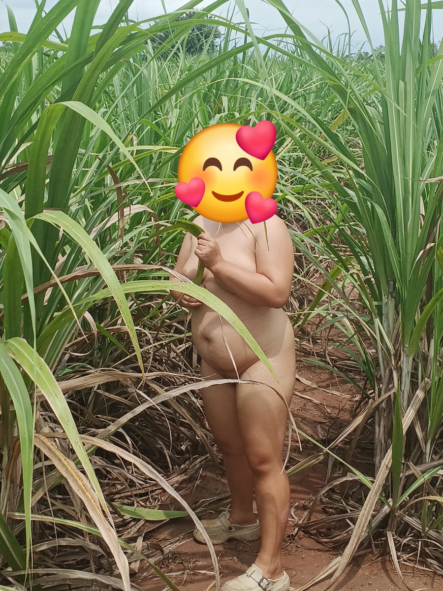 Peera14337748's tweet photo. มาลงสำรวจพื้นที่ให้เจ้านาย จะโดนใบอ้อยบาด Heeมั๊ยเนี่ย https://t.co/elKZwBNlTL