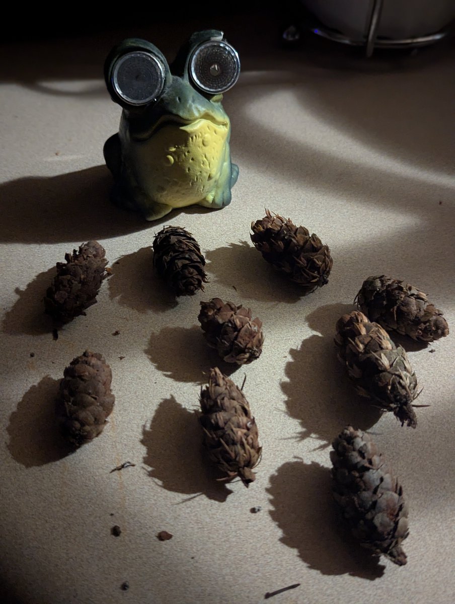 Cornysha_Syrup's tweet photo. 🌲 9 Pinecone Frog 🐸

Namaste 9️⃣ https://t.co/saw8S1appC