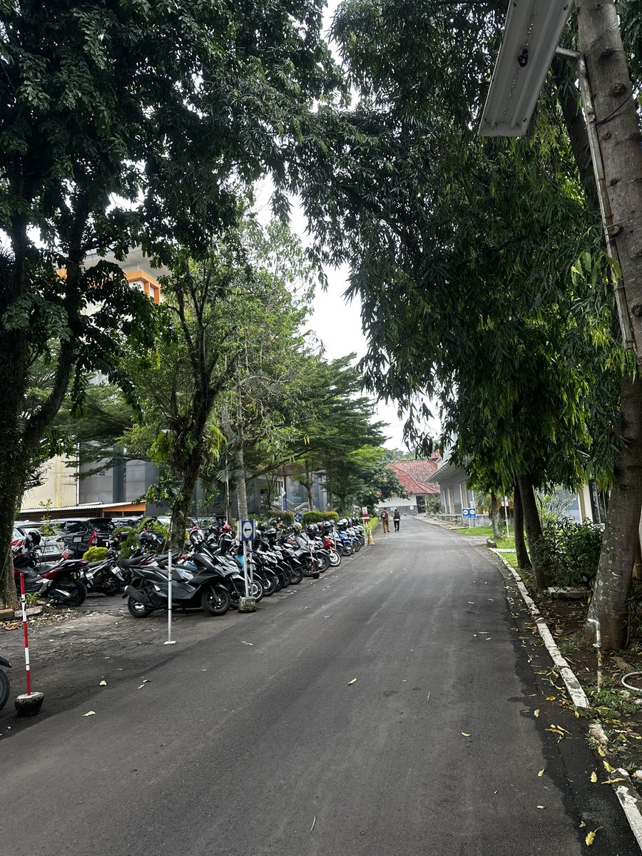 contextKuzma's tweet photo. panas tapi adem, paham kan? https://t.co/8dWSRN5O1k
