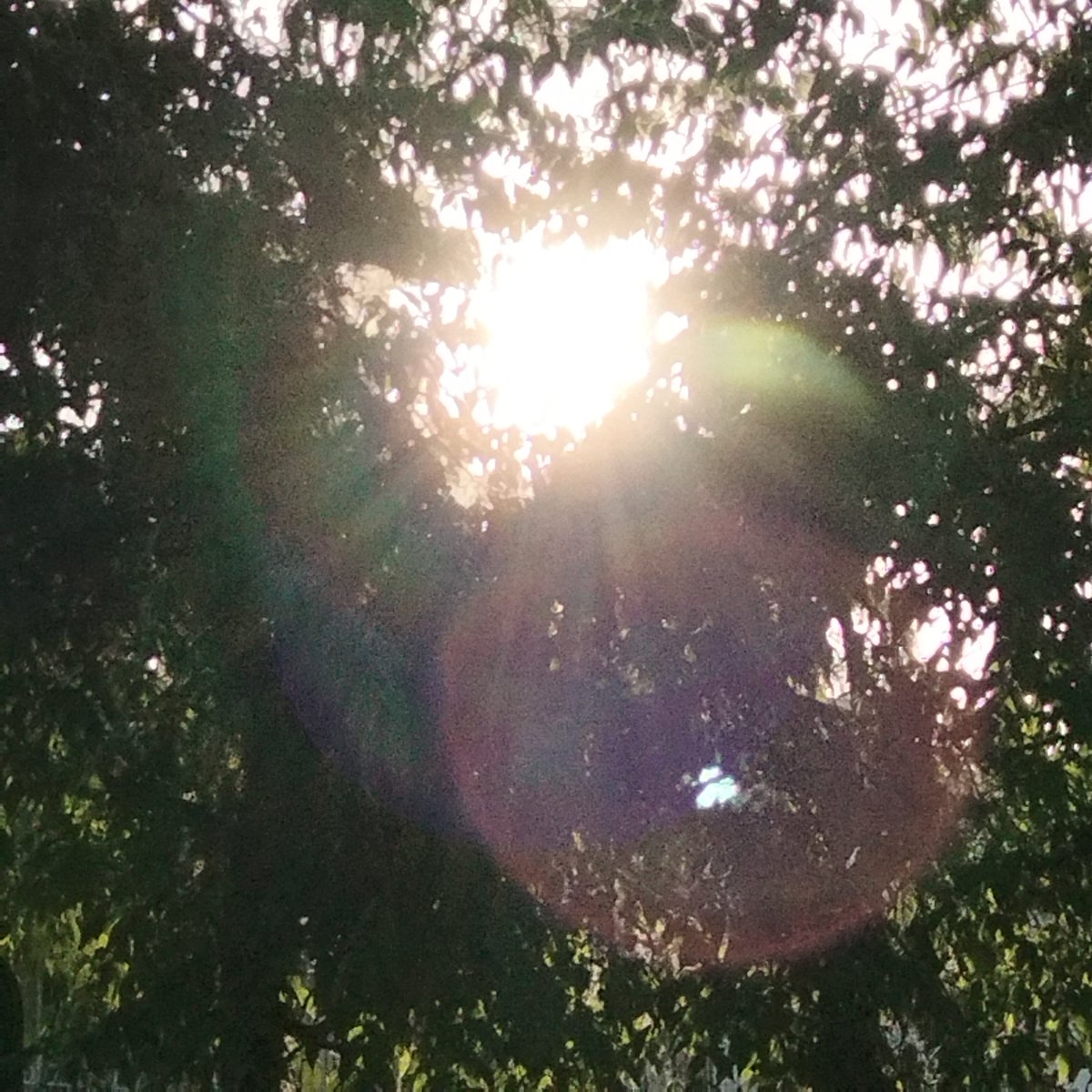 PoloRcke's tweet photo. La luz da presencia a tu existir , al verla formas las realidades de todo lo vivido en esta experiencia llamada vida,  lo bello se crea en la posibilidad de ver y sentir el mundo, gracias a la luz ,te muestra solo una pequeña parte de lo que puede llegar a ser https://t.co/wN9EwlgZUe