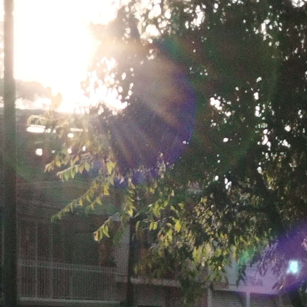 PoloRcke's tweet photo. La luz da presencia a tu existir , al verla formas las realidades de todo lo vivido en esta experiencia llamada vida,  lo bello se crea en la posibilidad de ver y sentir el mundo, gracias a la luz ,te muestra solo una pequeña parte de lo que puede llegar a ser https://t.co/wN9EwlgZUe
