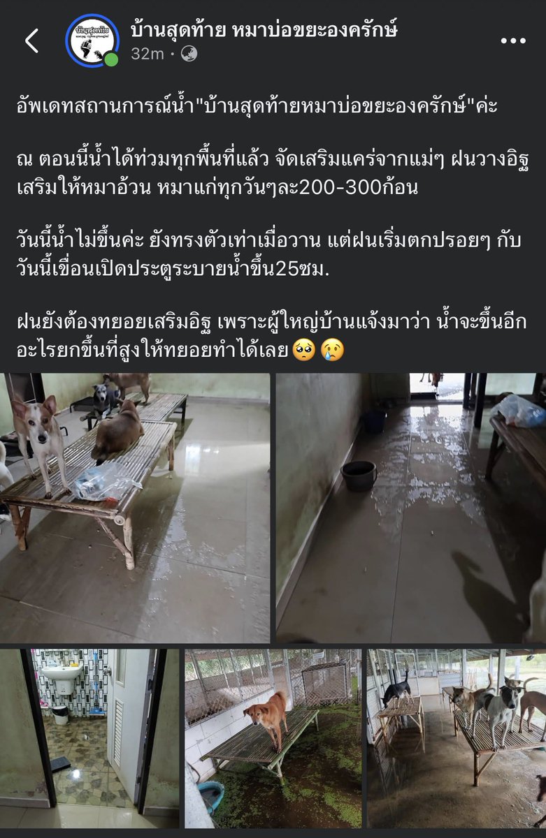 KhaohomSiri's tweet photo. ช่วยกันแชร์ Pls RT

สงสารเด็กๆจัง น้ำแทบไม่ลดเลย🥹

#น้ำท่วม #น้ําท่วม2569 #น้ําท่วมนครนายก https://t.co/i51MuQOYLc