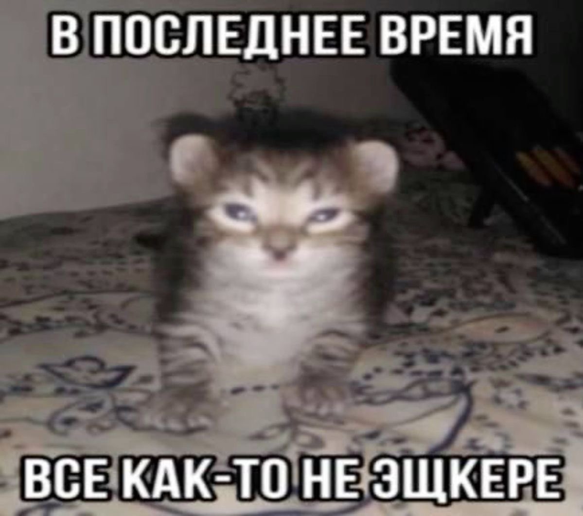 alexasss14's tweet photo. дурацкий колледж, я спать хочу😔😔 https://t.co/dTZ9VlajUF