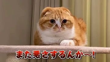 T_T318's tweet photo. 癒しをお届けします🦪 https://t.co/sYbNvAbD3l