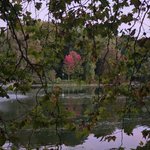 Photo by Der_traurige_Typ (@TraurigerTyp)